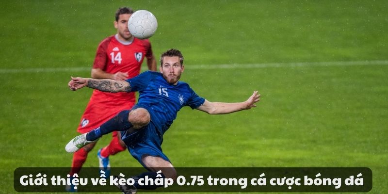 Mẹo đánh rồng hổ - Hướng dẫn từ A đến Z để thành công 9 image 101