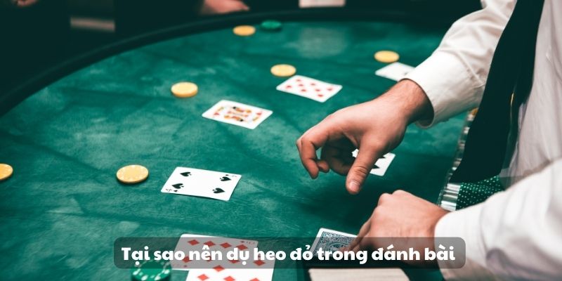 Mẹo đánh rồng hổ - Hướng dẫn từ A đến Z để thành công 8 Tại sao nên dụ heo đỏ trong đánh bài